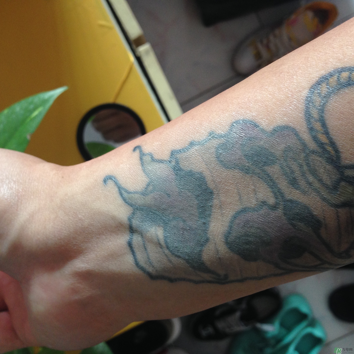 �Ѱ�������bb˪��ô��?�Ѱ�������bb˪������?